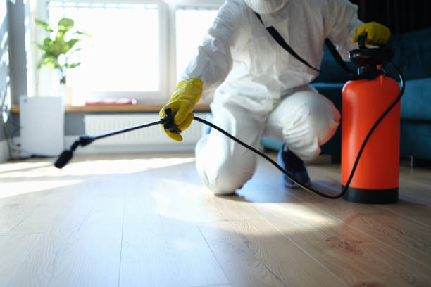Reliable Biohazard Cleanup contractor in Trenton, MI by Dulley Family Biohazard Services